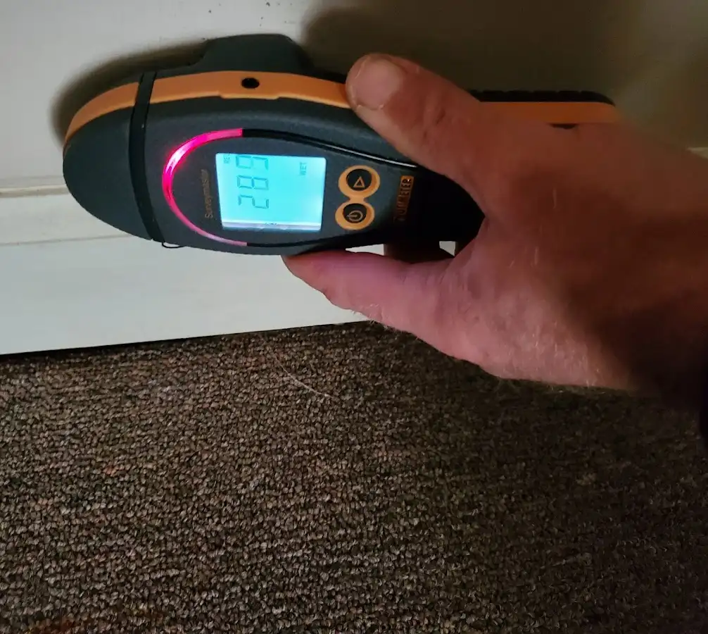 Moisture detection at baseboard during Mold Inspection & Testing in Logan