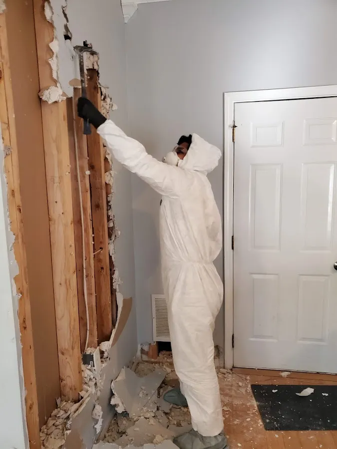 Mold Inspection & Testing in Logan, OH